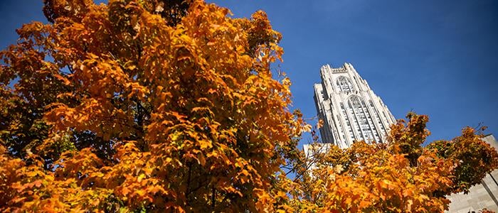 Tree with orange fall leaves with Cathedral of Learning in background