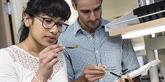 undergraduate student conducting research with instructor in Clapp Hall