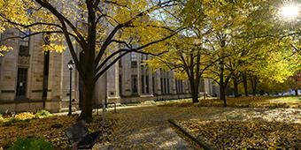 Yellow fall leaves covering sidewalk outside Cathedral of Learning on sunny day